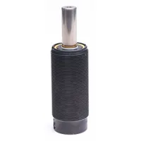 Gas Spring: M38x1.5 Thread Size, 6 29/32 in Ext Lg, 790 lbf Force, End Fittings Not Included (MPN TM 250-063)