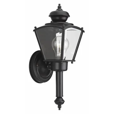 PROGRESS LIGHTING Wall Lantern: Incandescent, 60 W, 120V AC, 14 3/4 in Overall Ht - Bulb Dependent Decorative Wall Lights