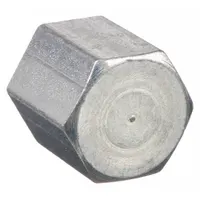 ANVIL Cap: Cap, 300 psi @ 150° F, 1/8 in, NPT Threaded, Steel, Made in USA (MPN 0319900007)