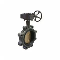 This 8-inch cast iron butterfly valve features a concentric, lug-style design with an aluminum bronze alloy disc and EPDM seat. It is gear-operated via handwheel and rated for a maximum pressure of 200 psi (CWP). Suitable for on-off or throttling service in water, HVAC, and process piping systems, the lug body allows dead-end service.