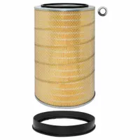 BALDWIN FILTERS Automotive Air Filter: Round-Oval, Engine, Round, Axial Seal, 15/16 in Inside Dia (MPN PA2573XP)