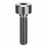 Socket Head Cap Screw: M2.5x0.45 Thread Size, 8 mm Lg, Std, Plain, Stainless Steel, 316 H5 (MPN ZSS616M2X8)