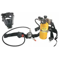 Supplied Air Respirator: Gen Purpose, Compressed Air Cylinder, 60 to 100 psi, Full Facepiece (MPN 10045164)
