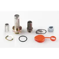 ASCO Valve Rebuild Kit (MPN 302116)