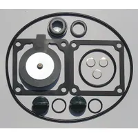 APPROVED VENDOR Seal Kit: Mfr Part # 24D043, Dayton