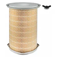 BALDWIN FILTERS Automotive Air Filter: Round-Oval, Engine, Round, Axial Seal, 6 15/16 in Outside Dia (MPN PA2970)