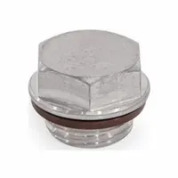 JW WINCO Threaded Plug: Stainless Steel, Fluoro-Elastomer Seal, Type G, 3/8 in Thd, 22 mm Drive Size (MPN 742.5-22-G3/8-O-1)