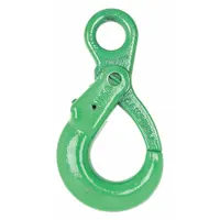 CAMPBELL Self-Locking Hook: 4,300 lb Working Load Limit, 100 Hook Grade, Alloy Steel, Eye, Painted (MPN 5648495)