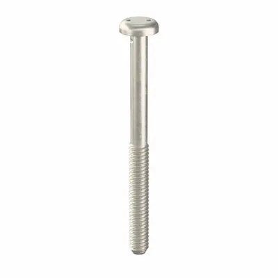TAMPER-PRUF SCREW Tamper Resistant Screw: 1/4"-20 Thread Size, 3 in Lg, Stainless Steel, Plain - Pan Head Tamper-Resistant Machine Screws