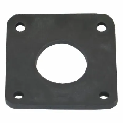 BANJO Replacement Gasket: FKM Gasket (MPN BF220GV). Key specifications — Brand: BANJO. - Gaskets for Bulkhead Fittings
