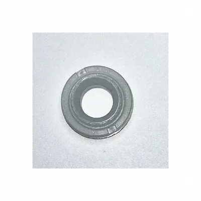 ARO Valve Seat: Valve Seat, 96580-1 - Valve Seats