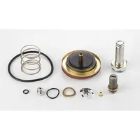 ASCO Valve Rebuild Kit (MPN 310416)