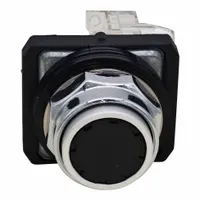 DAYTON Flush Push Button Operator: Non-Illuminated, Flush Profile, Metallic, 30 mm, 1NO/1NC (MPN GGS_116335)