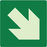 This 8 in x 8 in square plastic sign features photoluminescent material that glows in the dark without electricity, aiding visibility during power outages. It is mounted using adhesive backing and is not retroreflective. Suitable for marking emergency egress routes and evacuation paths in low-light conditions within industrial and commercial facilities