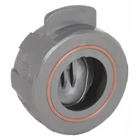 HAYWARD Wafer Check Valve: Swing, Inline Valve Body, 2 in Pipe Size, Wafer, PVC, For Water Media (MPN WCV1200V)