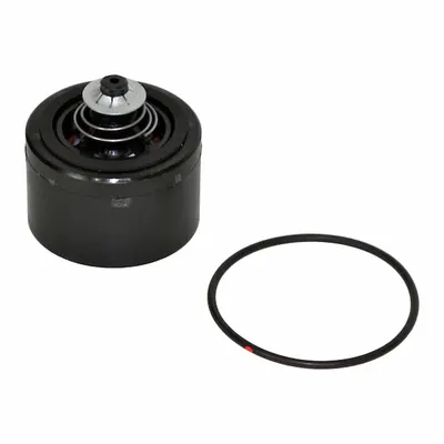 FILL-RITE Check Valve Kit: Mfr Part # KIT700CV - Valve Parts & Repair Kits for Fuel & DEF Transfer Pumps