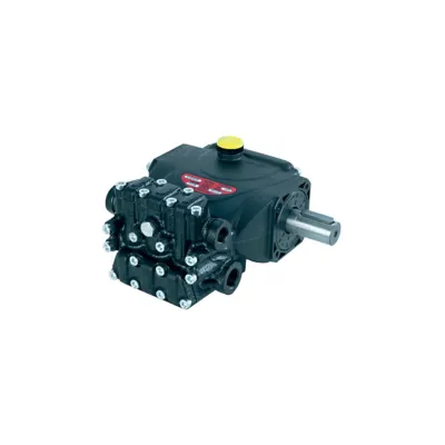 Interpump PUMP E1C1612 DX D20 PTFE SENZA LIBRETTI - Pumps & Compressors