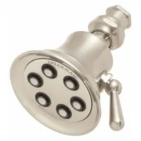 SPEAKMAN Fixed Showerhead: Retro S-2254, 2 gpm Fixed Showerhead Flow Rate, Brass, Multi, Combo (MPN S-2254-BN-E2)