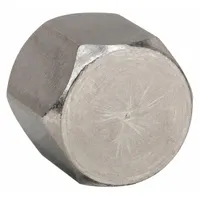 Cap: Stainless Steel, 3/8 in Fitting Size, JIC (MPN 0304C-06SS)
