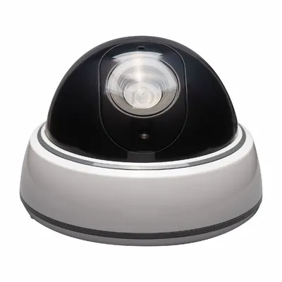 SABRE HS-FSCD Dummy Dome Surveillance Camera, Outdoor, Black - Dummy Surveillance Cameras