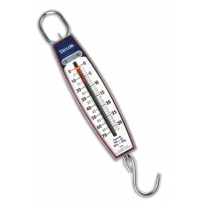 TAYLOR Mechanical Hanging Scale: kg/lb, 1 lb/500 g, Analog Linear - Mechanical Hanging Scales