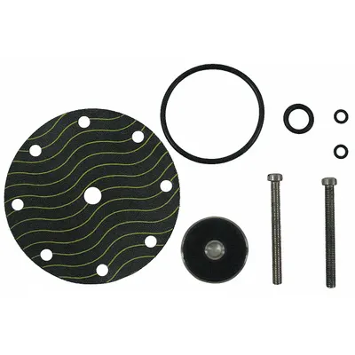WATTS Pilot Rebuild Kit: CP16RK - Plumbing