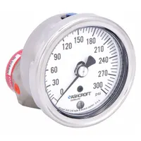 ASHCROFT Pressure Gauge with Diaphragm Seal: 0 psi to 300 psi, 1009/310-315, 2 1/2 in Dial, Glycerin (MPN 251009AW02B/310SSLXCG300)